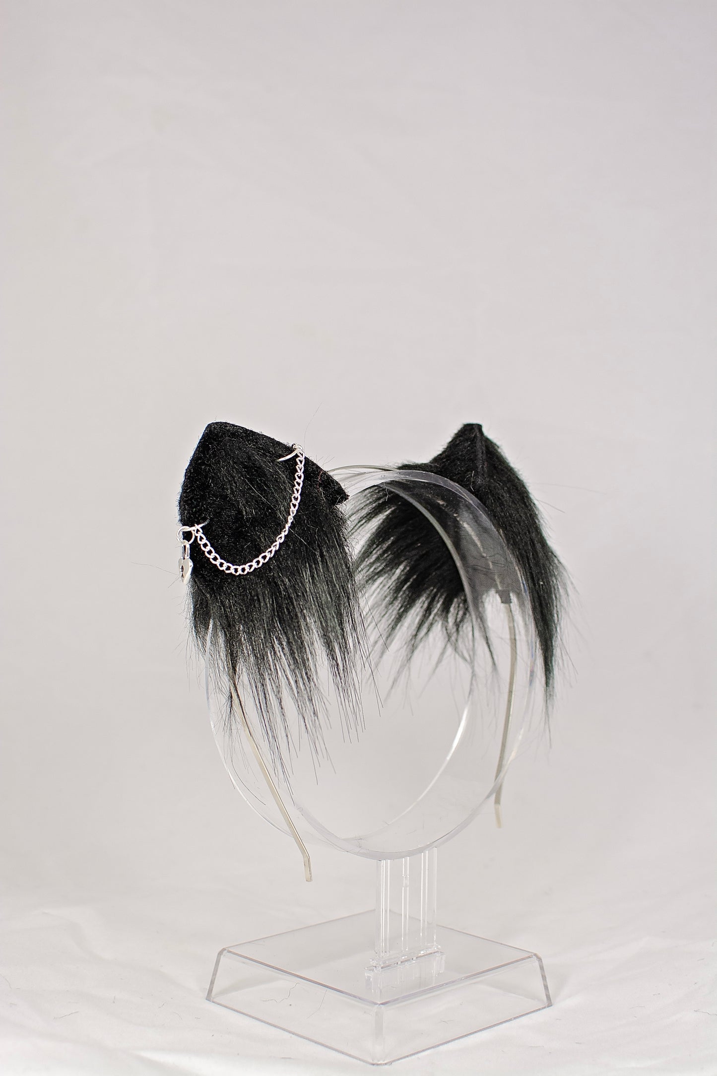Mini Kitten Black Ears