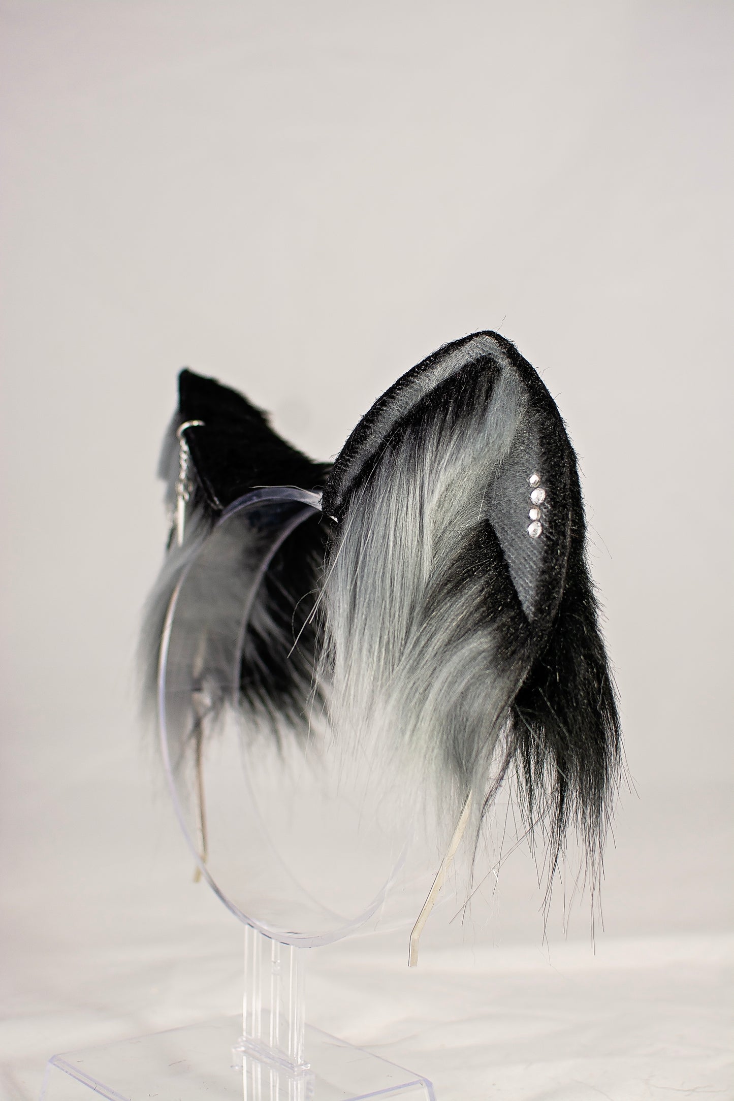 Kat Grey/Black Ear