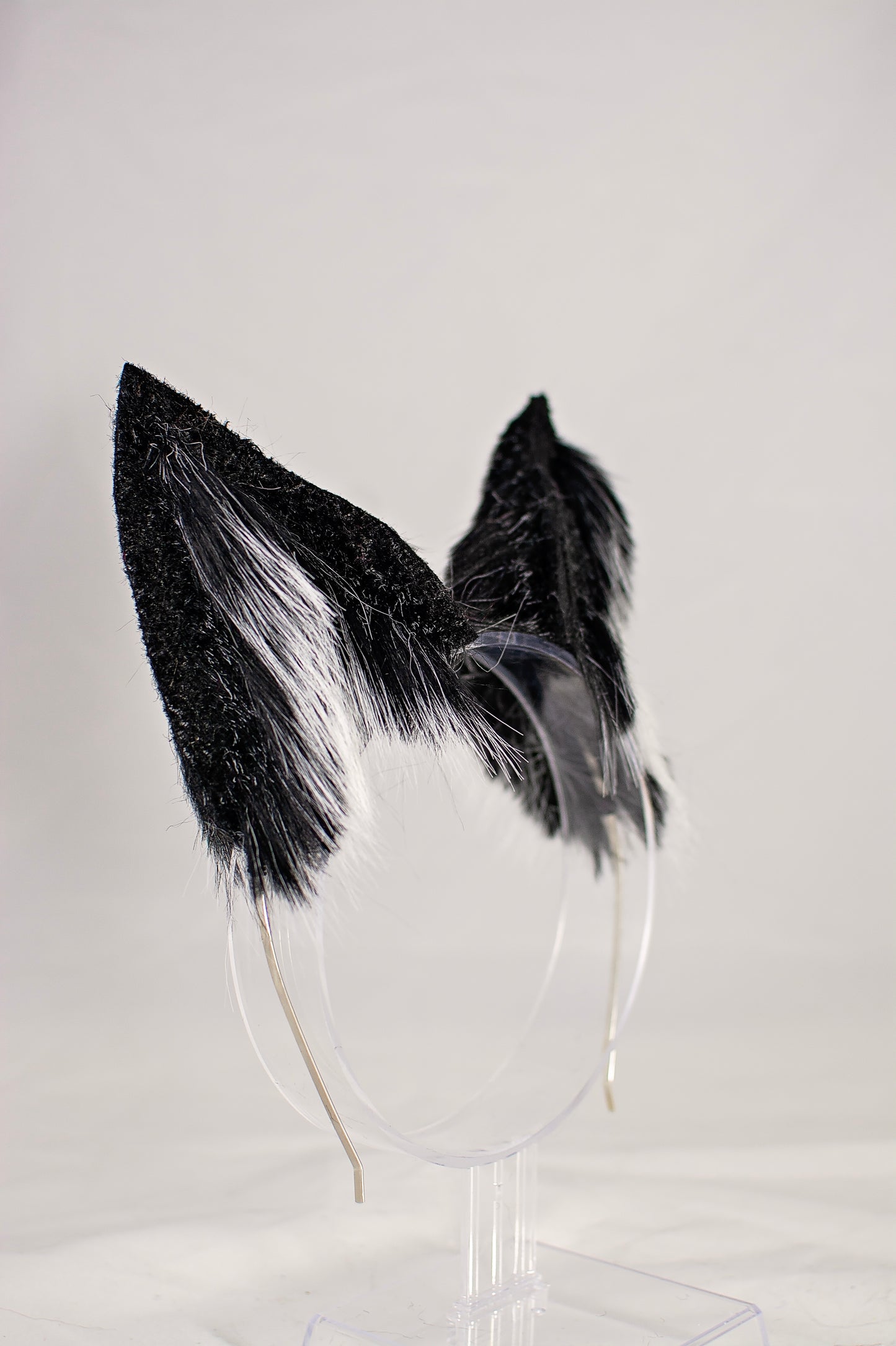Blizzard Fox Ear