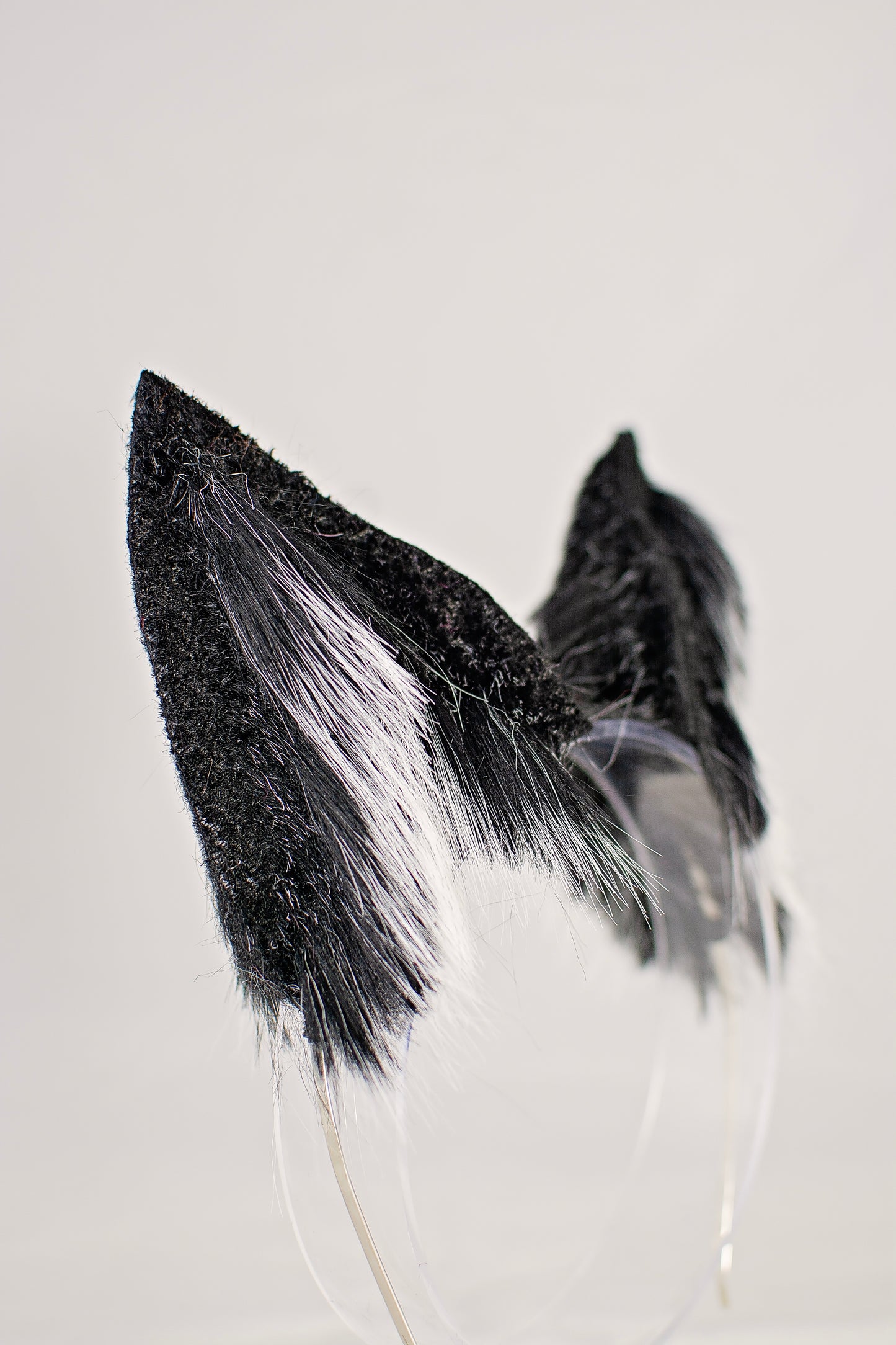 Blizzard Fox Ear