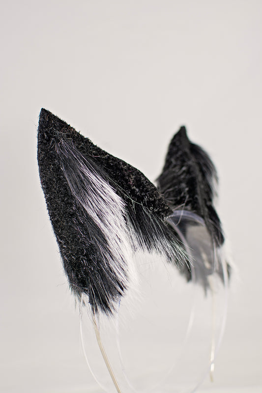 Blizzard Fox Ear
