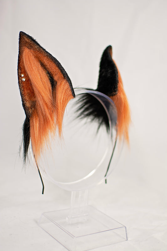 Auburn/Black Fox Ear